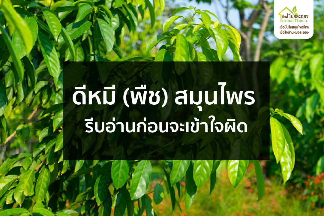 Images/Blog/B6X3t6bB-OCT-05-01.jpg