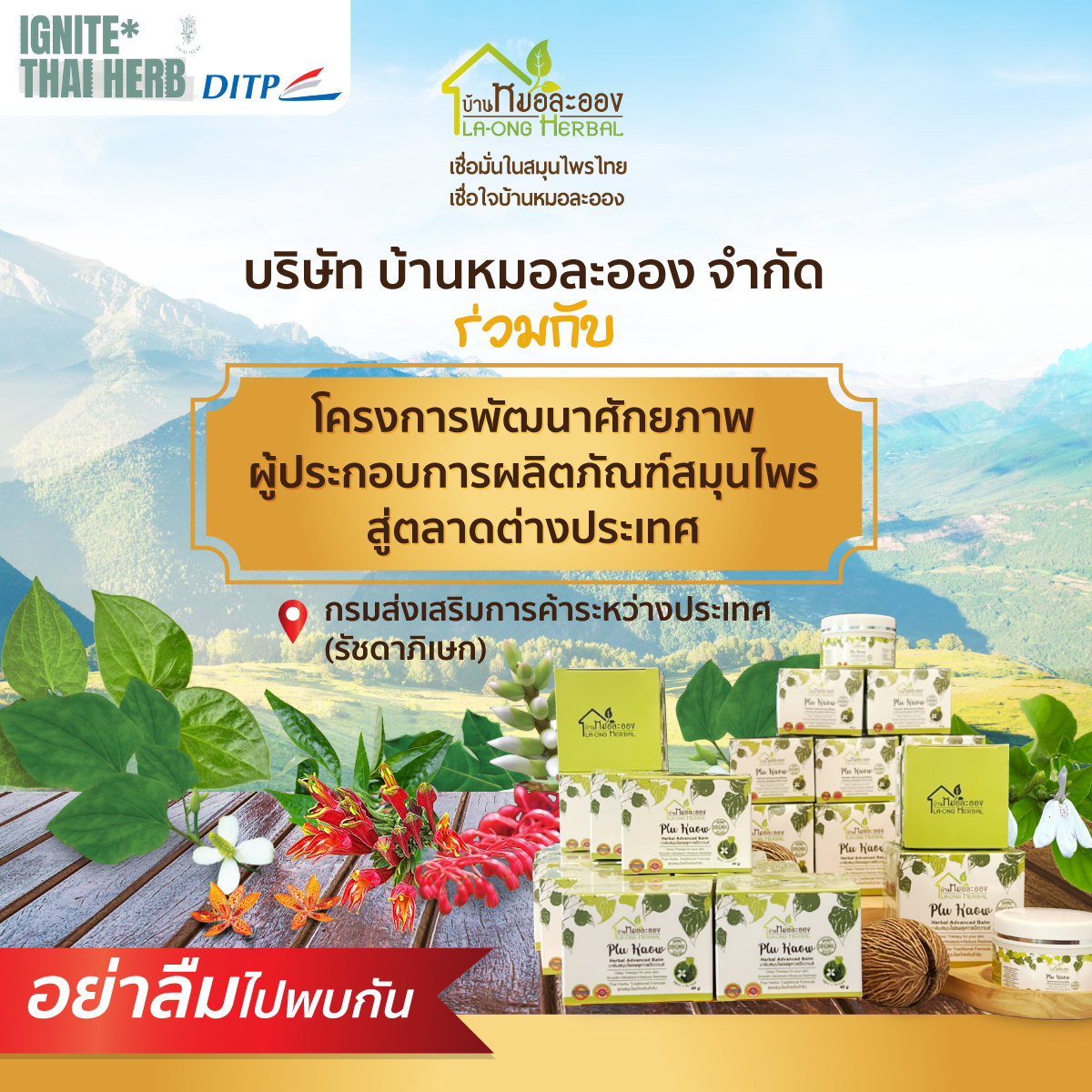 Images/Blog/LTP2SWr3-laong-fb-post2022-11.jpg