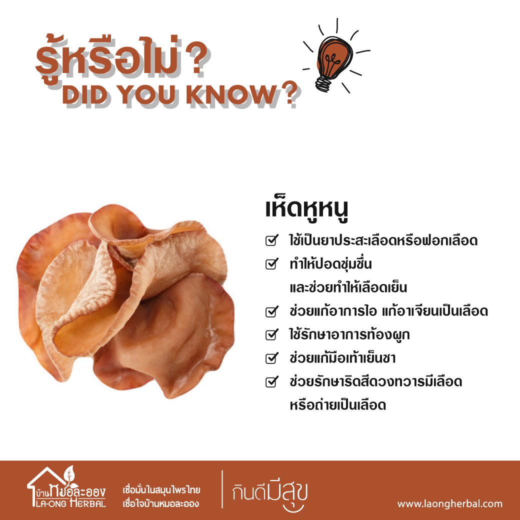 Images/Blog/tHO2r14d-dyk-37.jpg